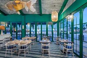 Pez Dama - Ocean El Faro Resort - All Inclusive Punta Cana